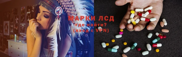гидра Арсеньев