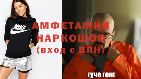 гидра Арсеньев