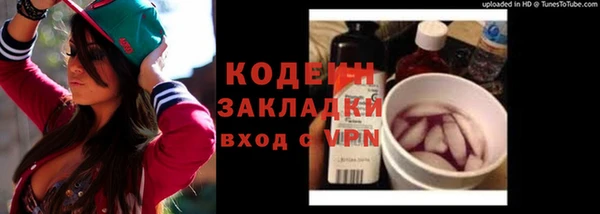 гидра Арсеньев