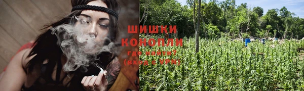 спиды Аркадак