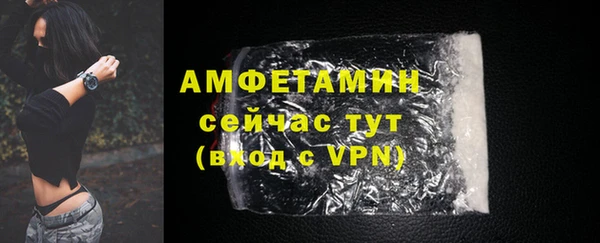 гидра Арсеньев